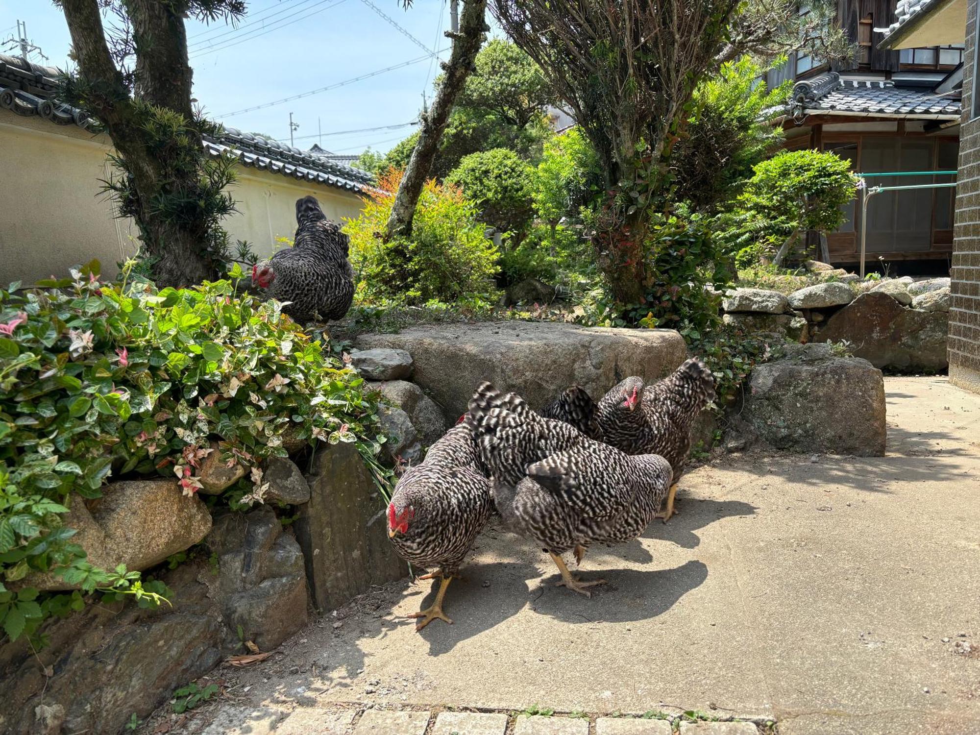 Osaka Nose Farmer'S Guest House　Yasuda Farm Exterior photo